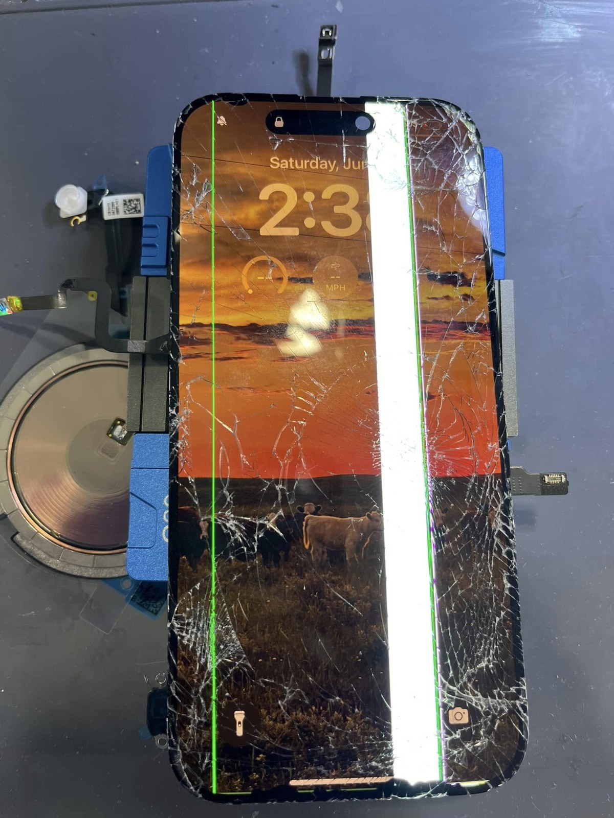 Supreme Cellular Repair gallery photo 51